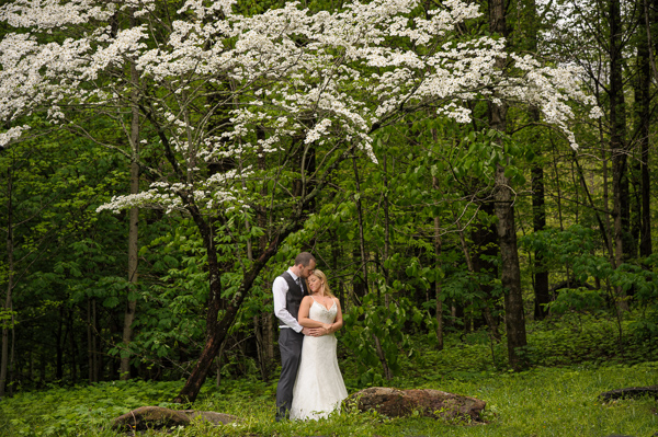 Elopement packages for the Foothills Parkway