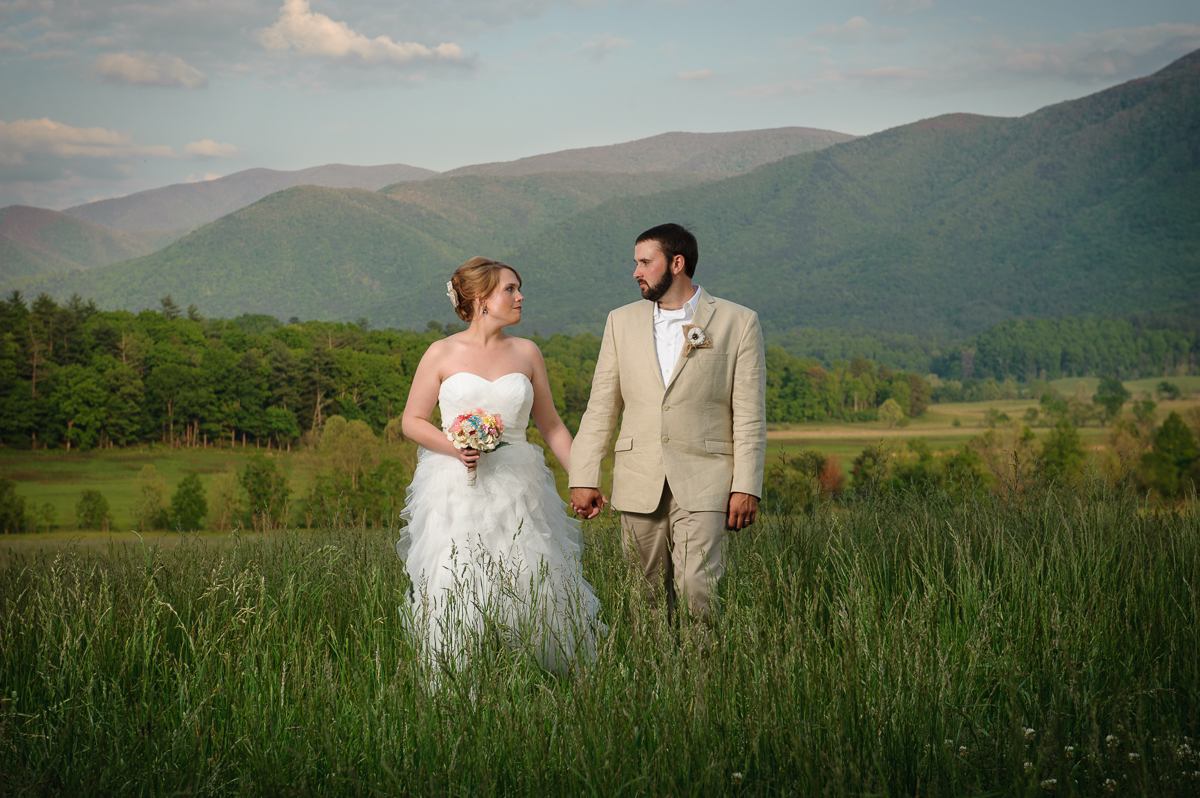 Cades Cove wildlife overlook wedding package