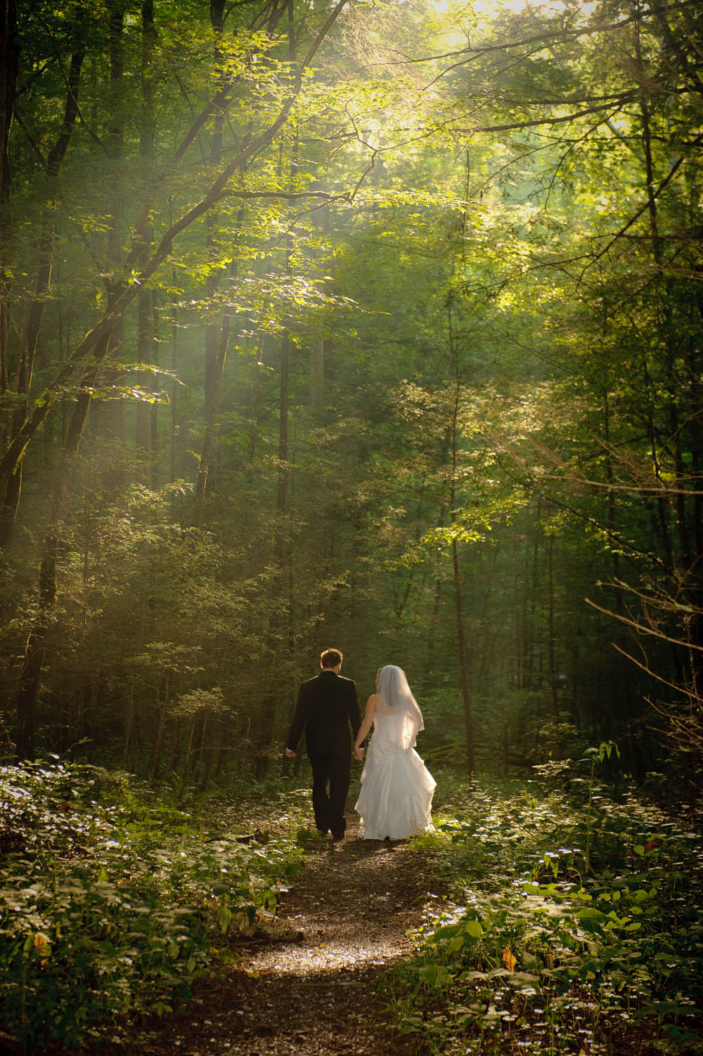 Smoky Mountain Elopement Packages