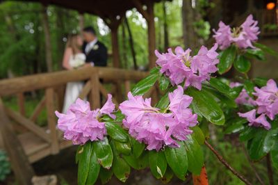 Wedding Package Gatlinburg