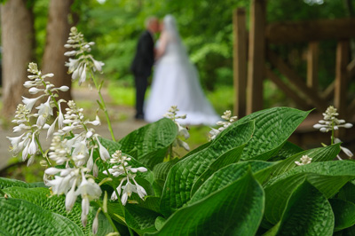 destination Wedding Packages in Gatlinburg