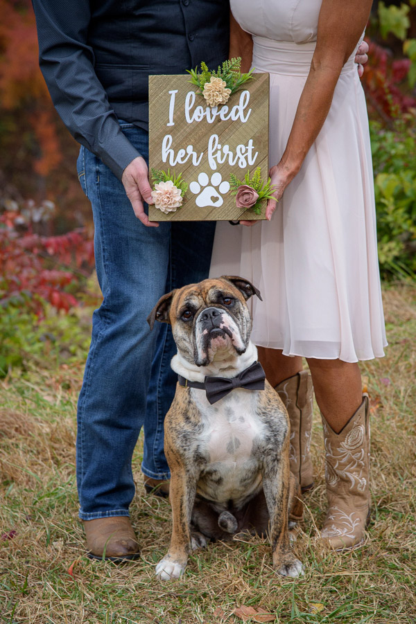 Pets are allowed for most Smoky Mountain elopements