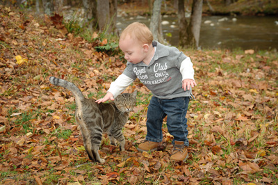 Smoky Mountain family portraits