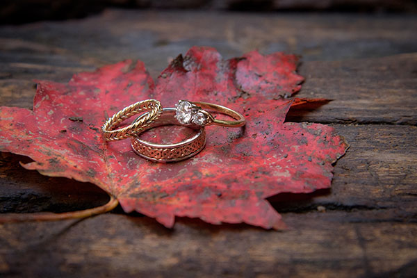 close up of rings on maple leaf