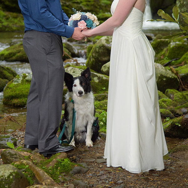 elopement in gatlinburg, tn